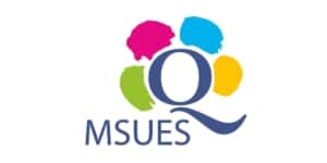 Znak jakości MSUES dla Infobrokerska.pl